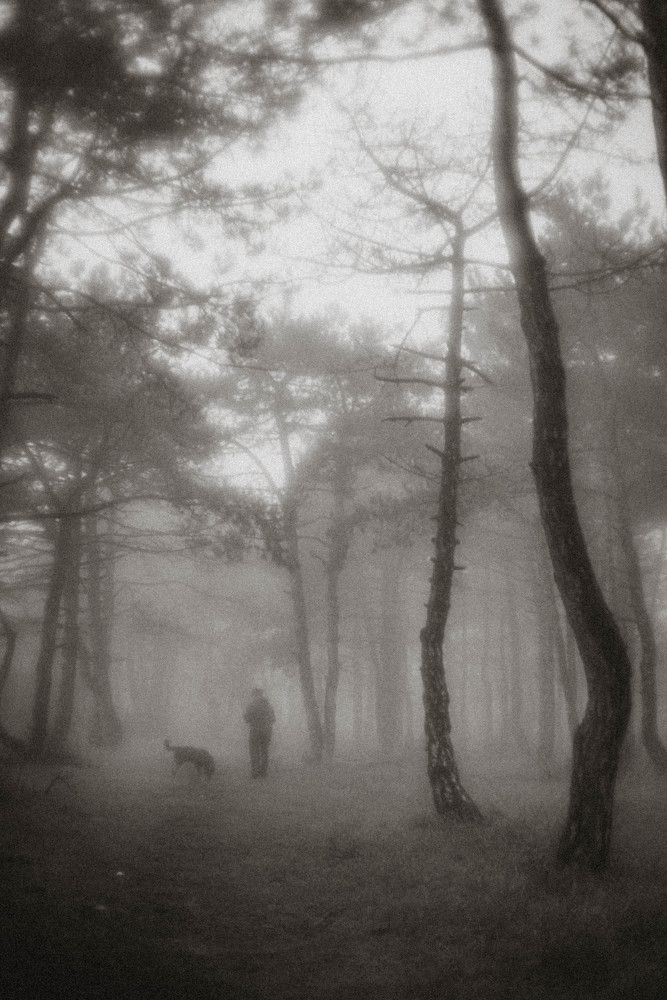 Photograph by Ольга Солодилова