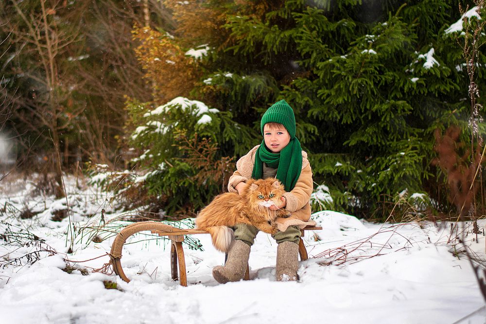 Photograph by Анастасия Сержантова