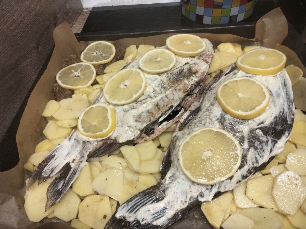 Photo #11560647