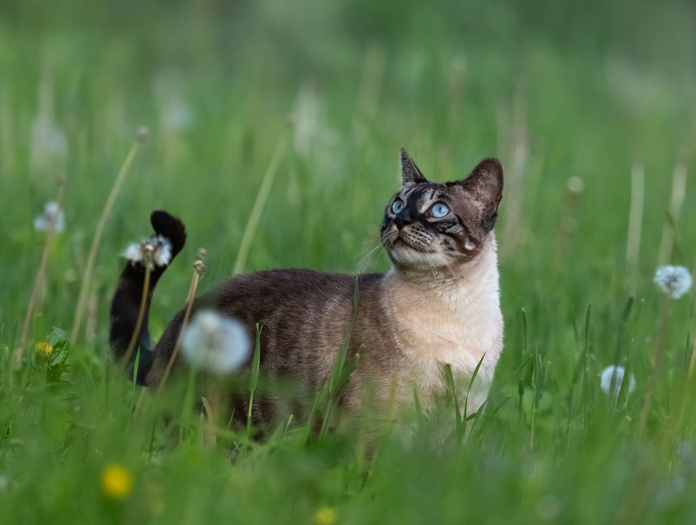 Photograph by Елена Хорохорина