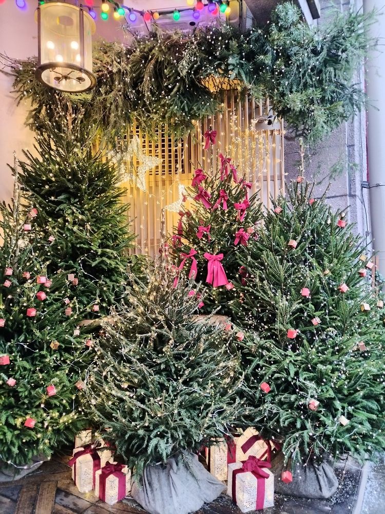 Photograph by Татьяна