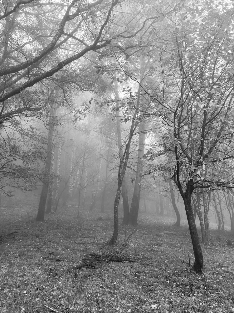 Photograph by Catherine Walter-Prêtre