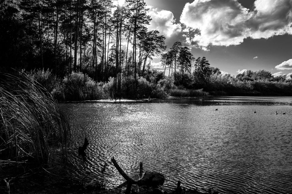 Photograph by Елена Берсенёва