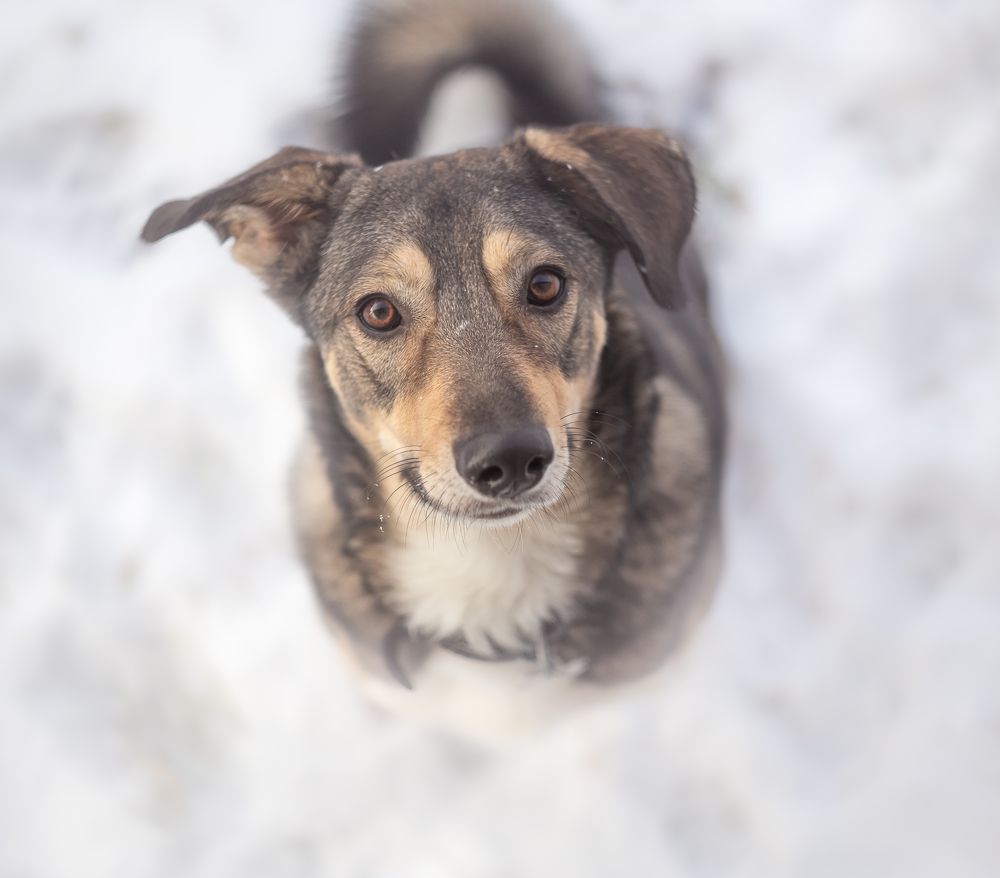 Photograph by Елена Хорохорина