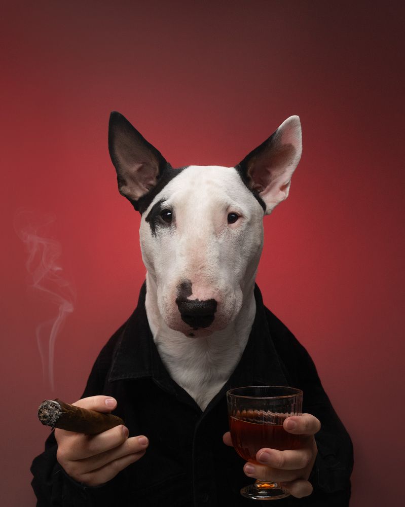 Photograph by Андрианова Ирина