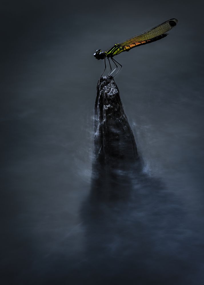 Guardian of the Mist