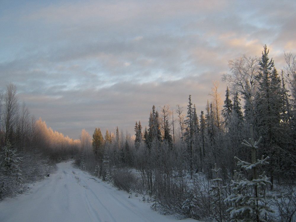 Фотография автора геннадий лалаев