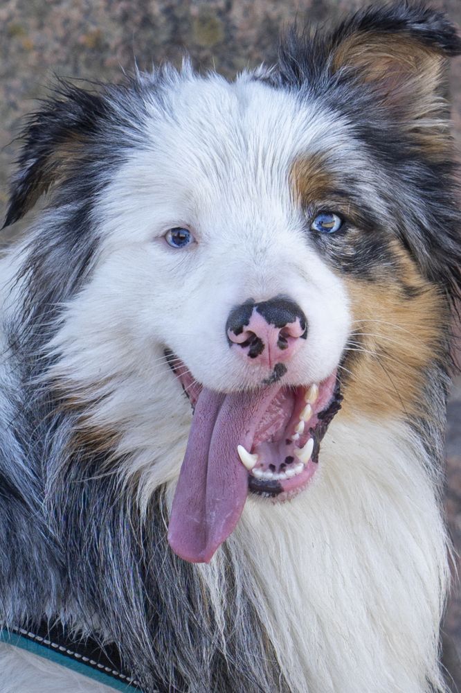 Фотография автора Ирина Зайцева