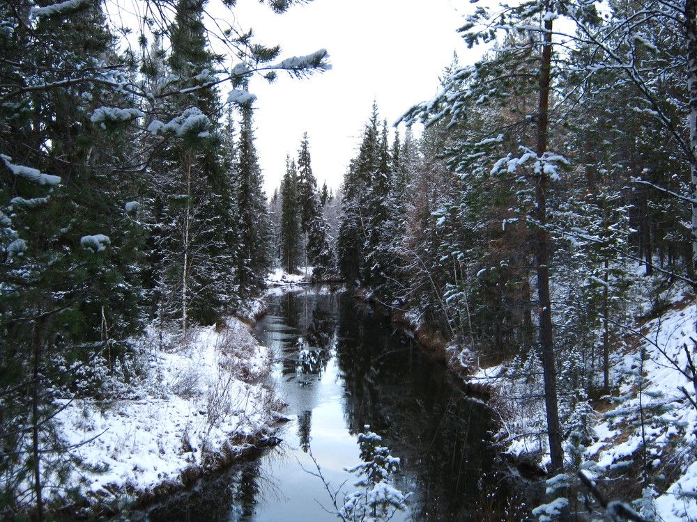Фотография автора геннадий лалаев
