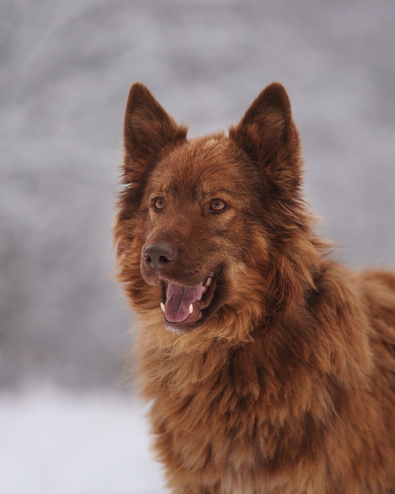 Photograph by Данил Шауба