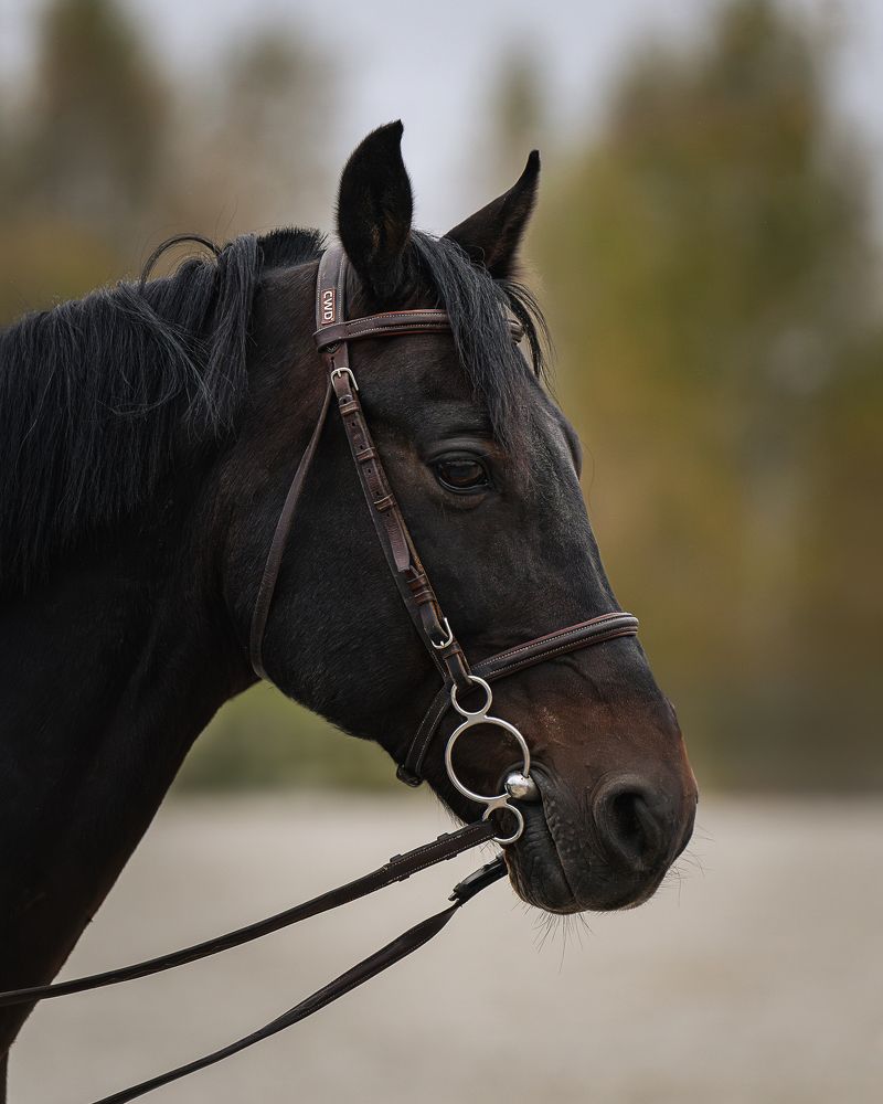 Photograph by Данил Шауба