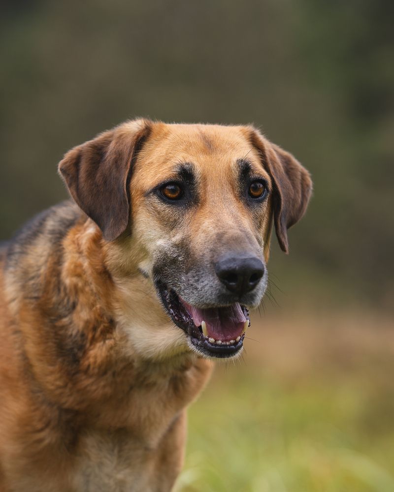 Photograph by Данил Шауба