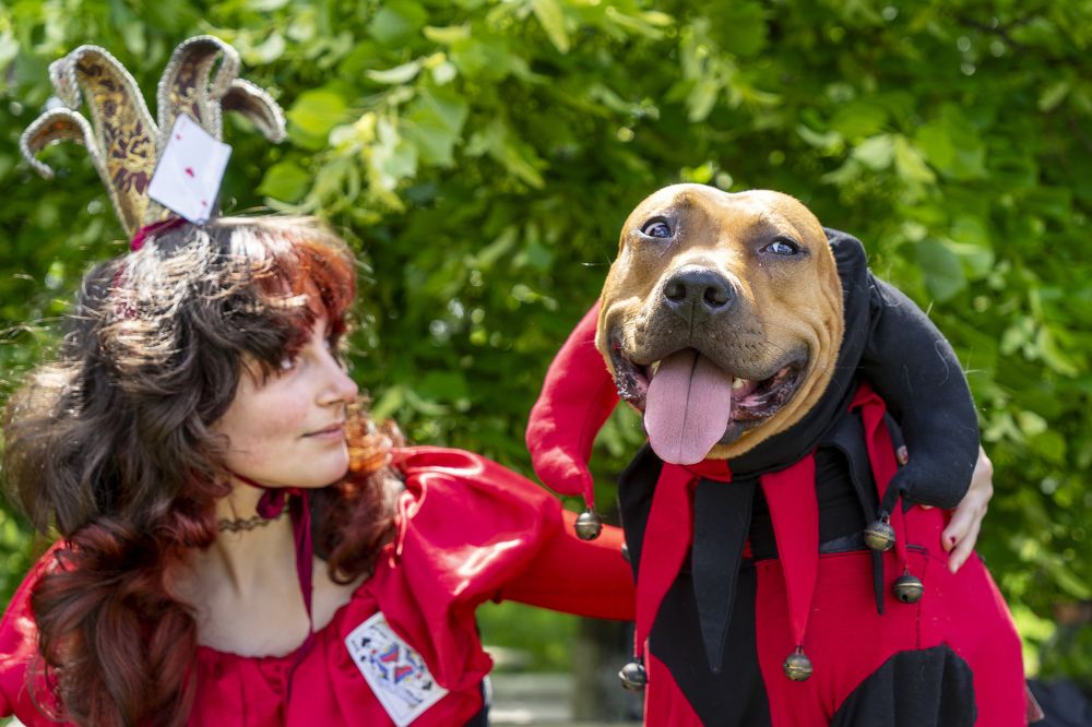 Фотография автора Ирина Зайцева