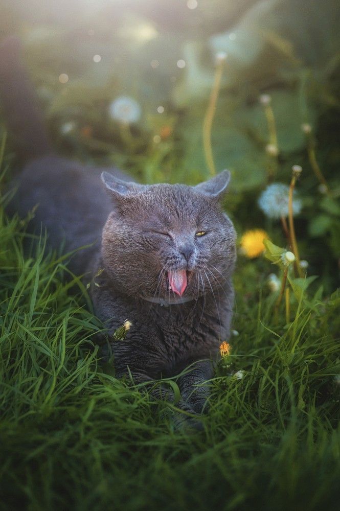 Photograph by Татьяна Максакова