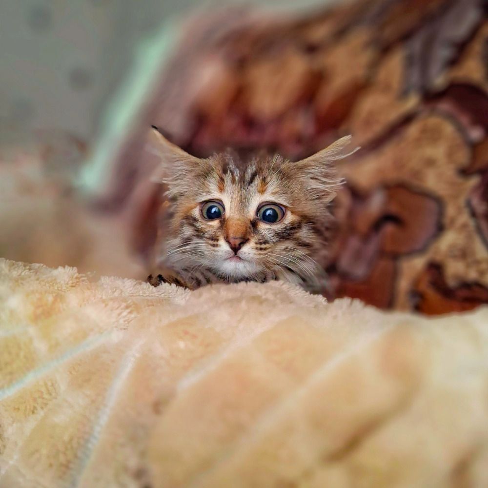 Photograph by Марина Мальцева