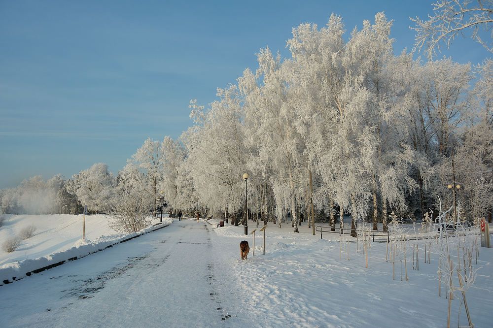 Photograph by Андрей Коротецкий