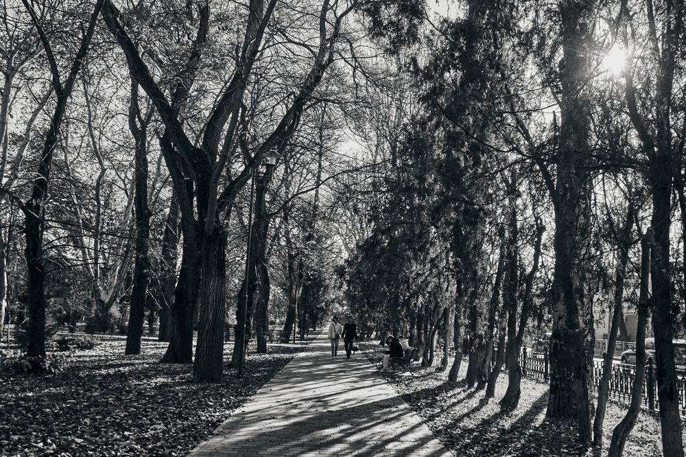 Photograph by Маргарита