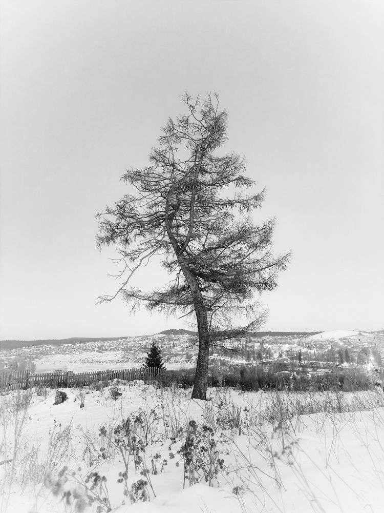 Photograph by Александра Ламанова