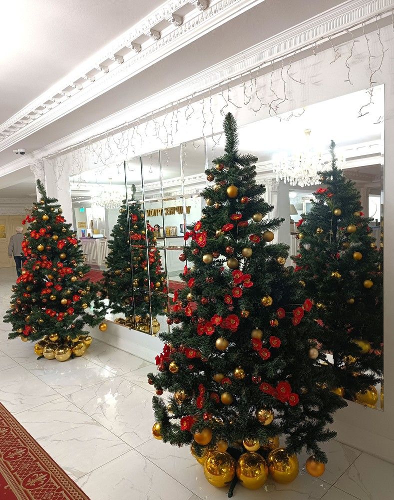 Фотография автора Елена Александрова