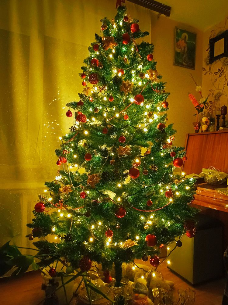 Photograph by Anna Grinkevich