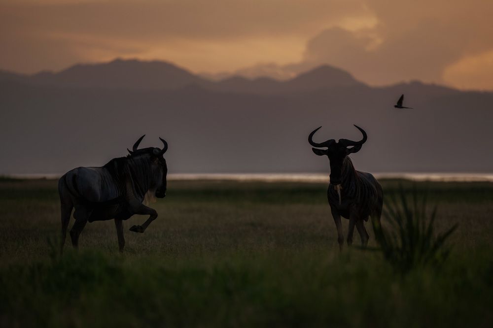 Photograph by Елена Якусева