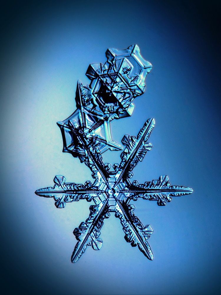 Снежинка декабря