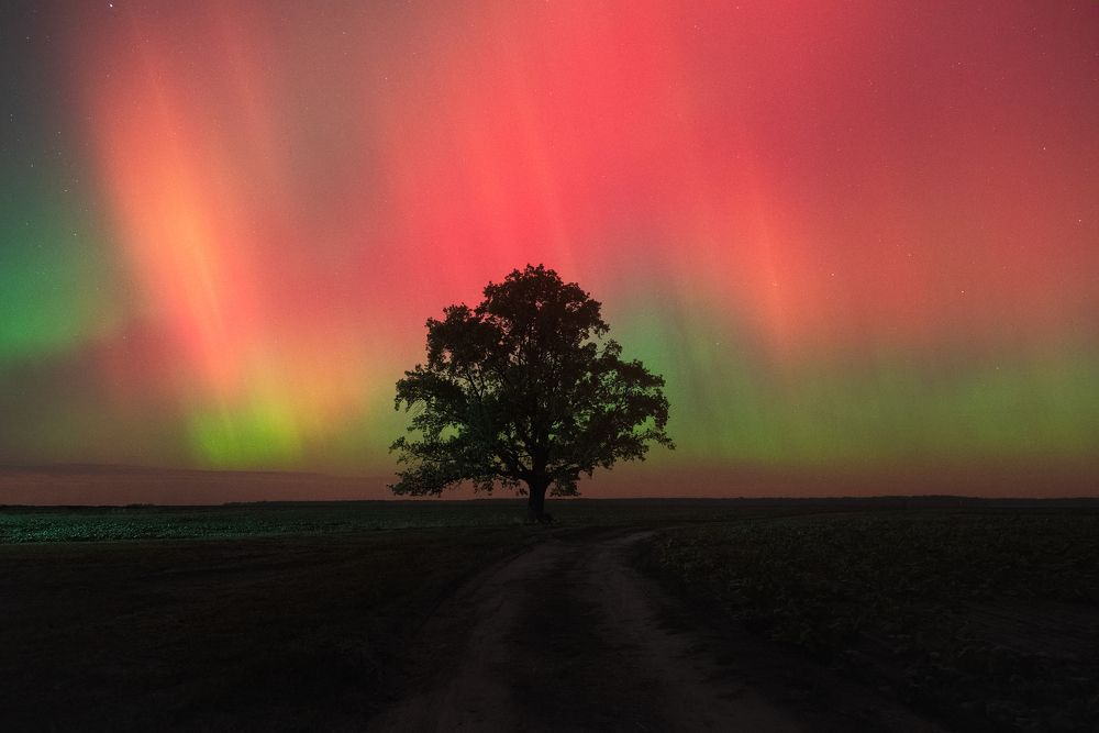 В октябрьскую ночь