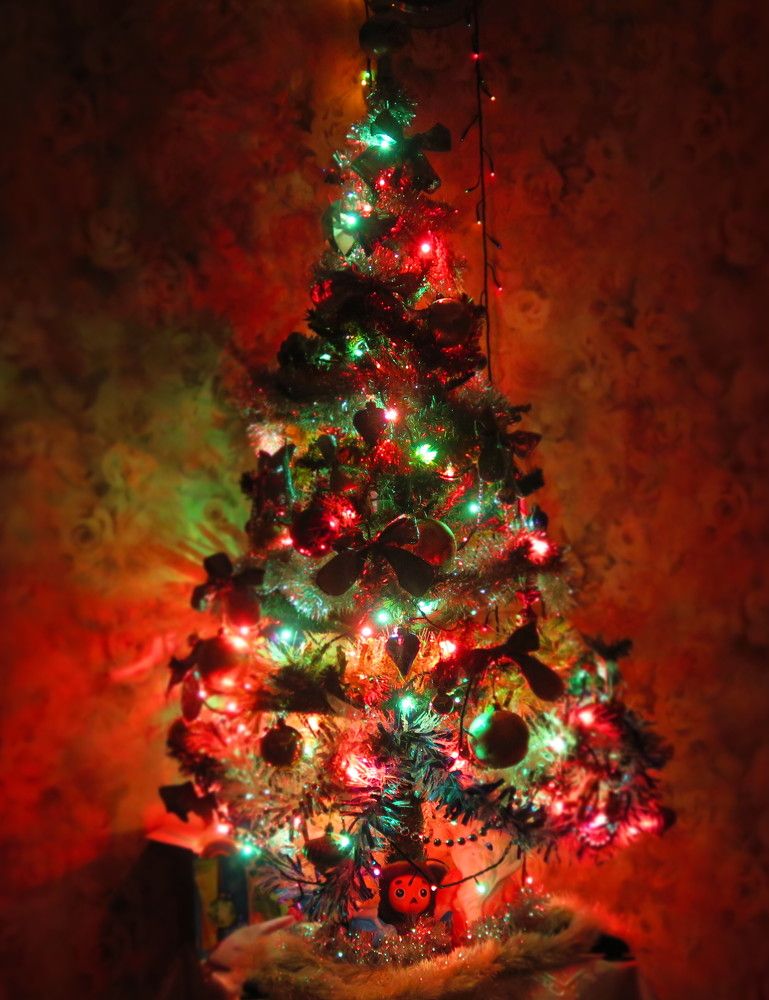 Photograph by Орл Про