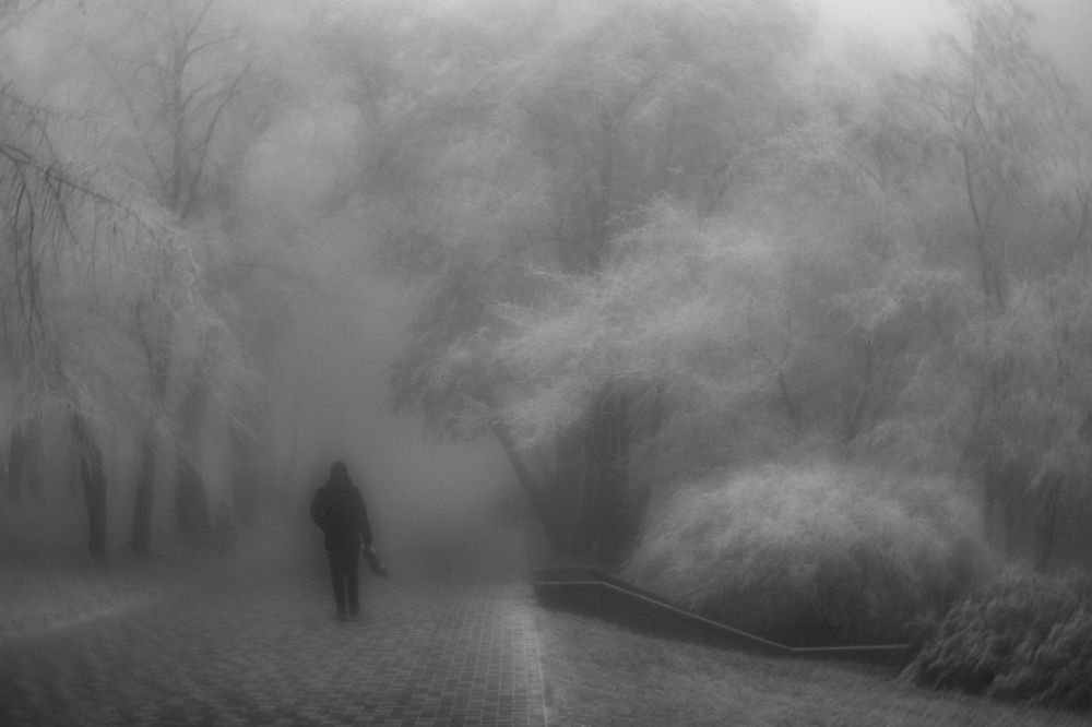 Photograph by Виталий Маслов