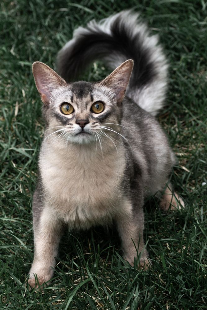 Photograph by Ольга Салтыкова