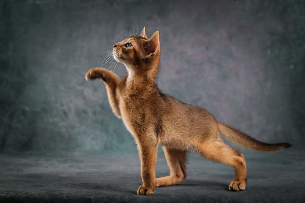 Photograph by Dina Damotseva