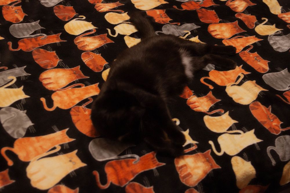 Photograph by Елена Казаренко