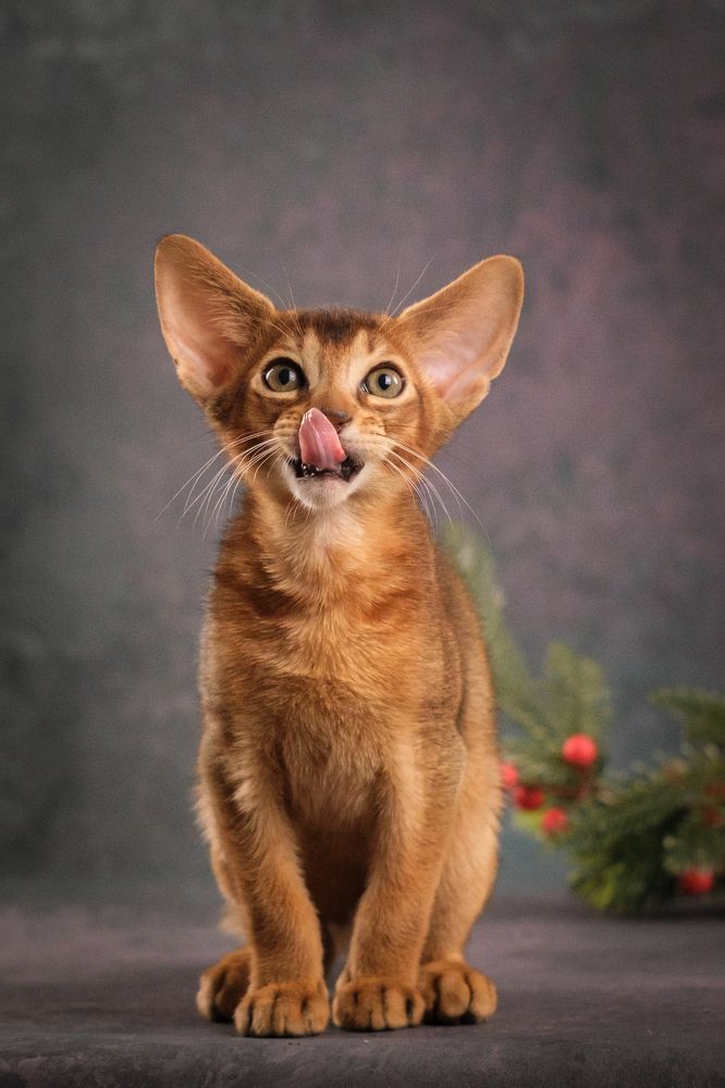 Этот вкусный Новый год!)