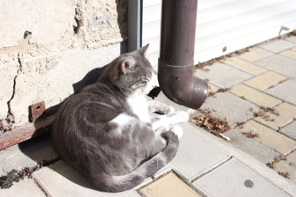 Photograph by Елена Казаренко