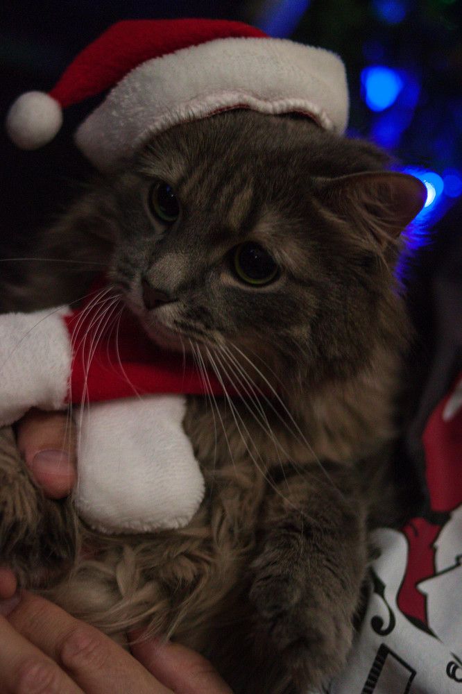 Photograph by Елена Казаренко