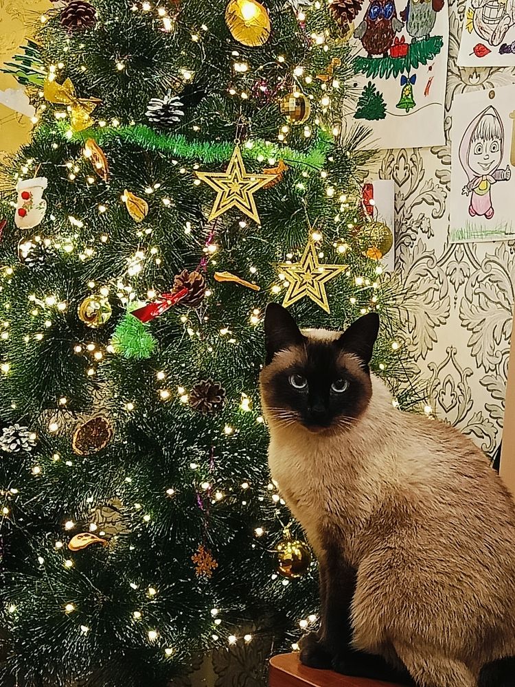 Photograph by Татьяна Бешенкина