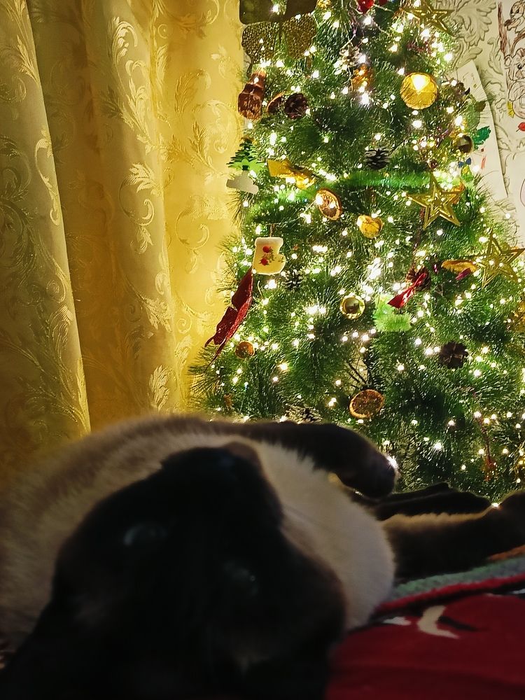 Photograph by Татьяна Бешенкина