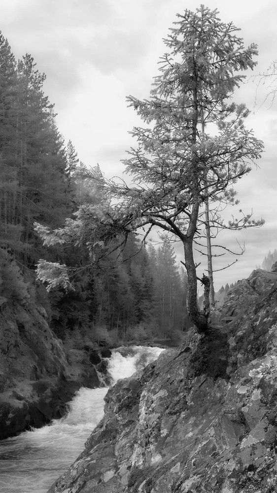 Photograph by Диана Бородзе