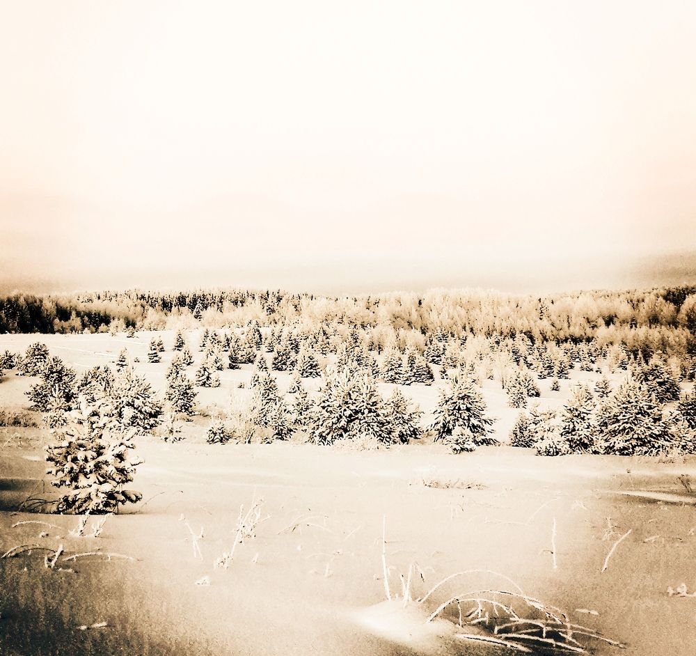 Photograph by Татьяна Бешенкина