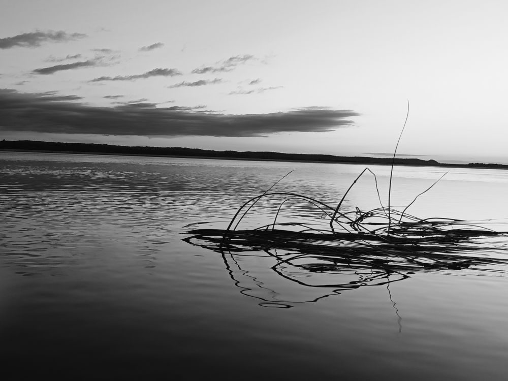 Photograph by Татьяна Бешенкина