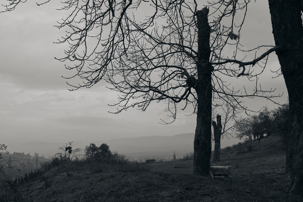 Photograph by Маргарита