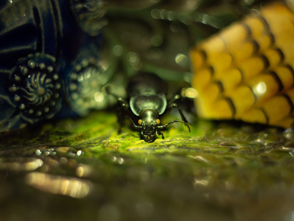 Photograph by Oleg F