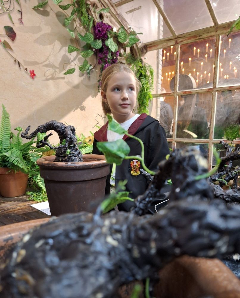 Photograph by Ольга