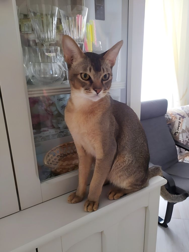 Photograph by Елена Сухорученкова