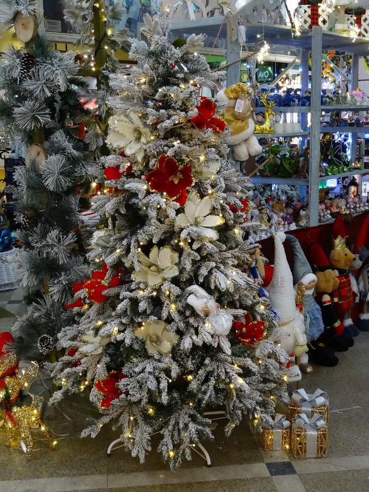 Photograph by Марина Раткун