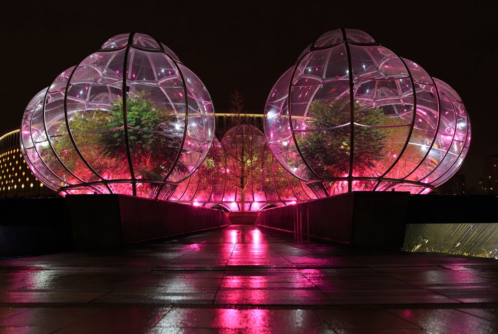 Фотография автора Анастасия Лапта