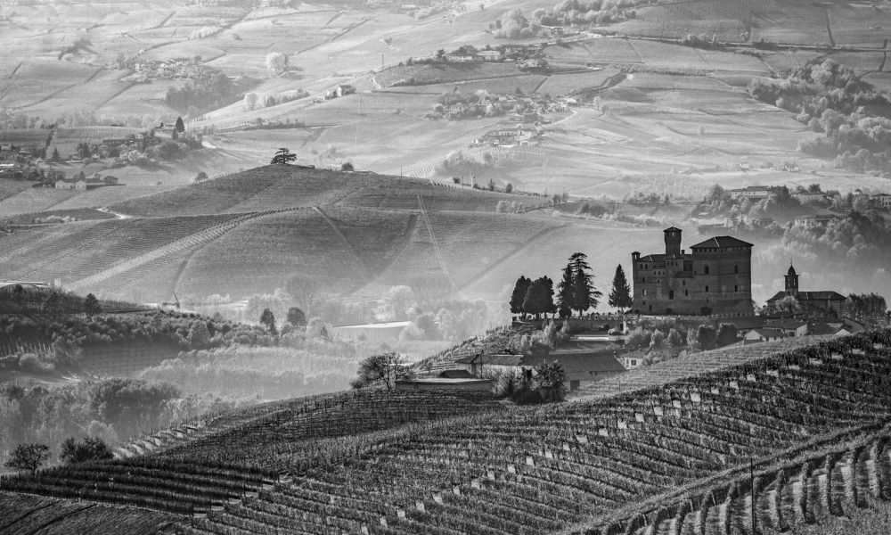 Photograph by Claudio Ciardi