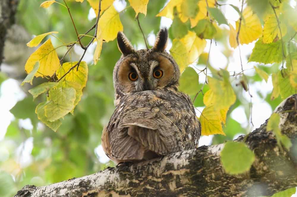Фотография автора Наталья Бачуринская