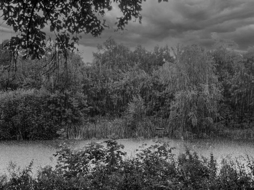 Photograph by Анжелика Трошина