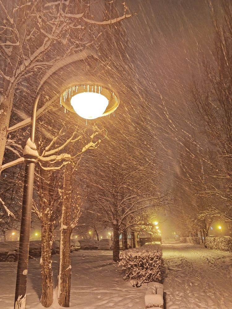 Фотография автора Юрий Звонарев